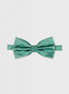 Green Bow Tie