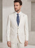 Light Grey Suit