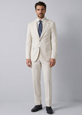 Light Grey Suit