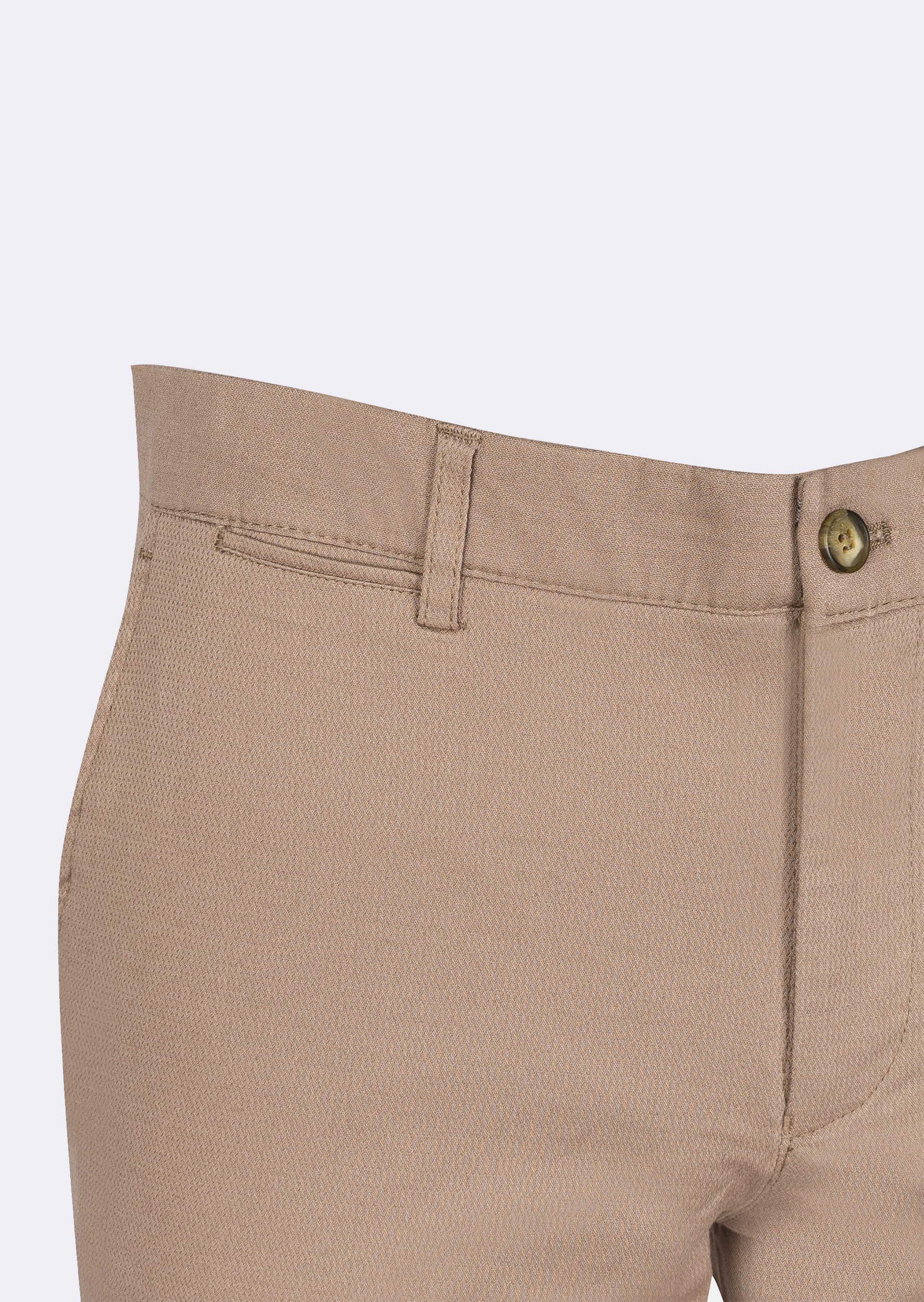 Beige Chino & Casual Pant